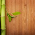 bamboo glossary